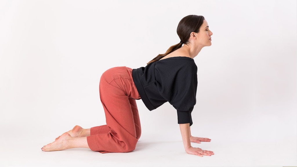 Back Pain